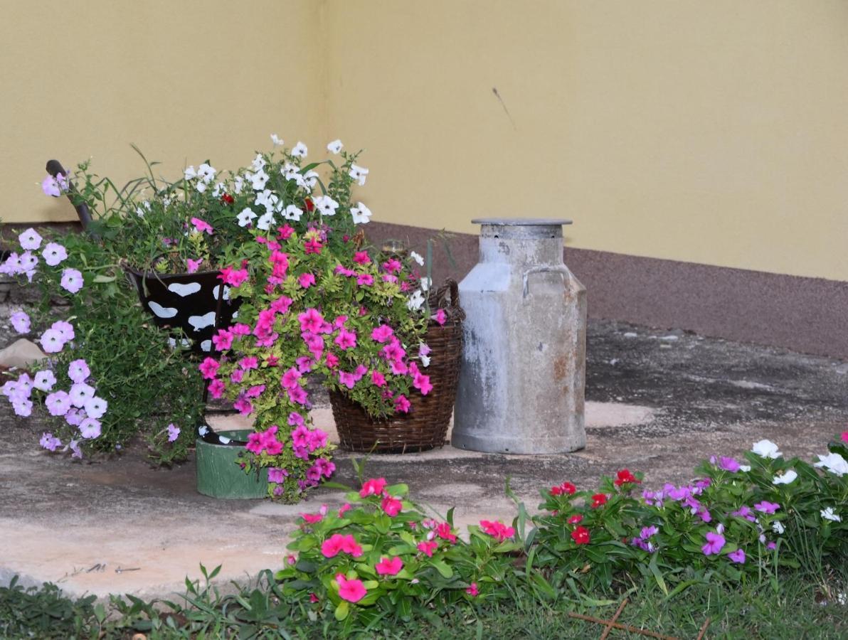 Villa Kutija Sveti Filip i Jakov Exterior foto